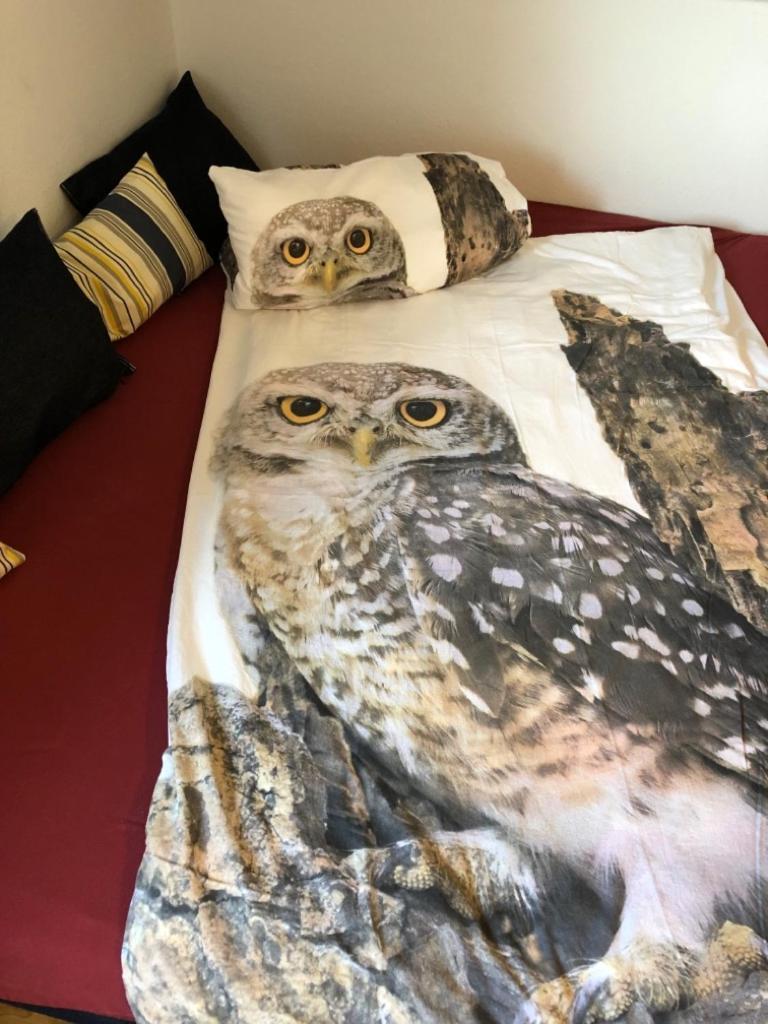 לנצקירש Ferienwohnung Eulennestle מראה חיצוני תמונה